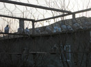 DSCN1253