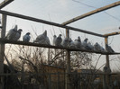 DSCN1256