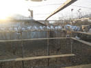 DSCN1259