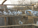 DSCN1260