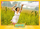 dil-bole-hadippa-wallpapers-11