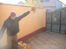 Picture 003