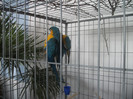 Picture 278