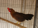DSC06773