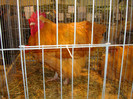 DSC06904