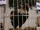 DSC07014