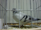 DSC06640
