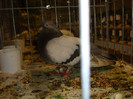 DSC06658