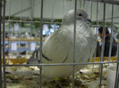 DSC06669