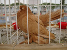 DSC06804