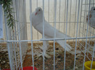 DSC06805