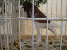DSC06807