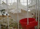 DSC06830