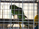 DSC06606