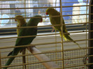 DSC06610
