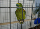 DSC06624