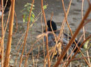 DSC07024