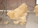 DSC03359