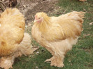 DSC03361