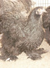 DSC03457
