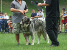 DSCF5228