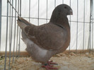 SAM_0726