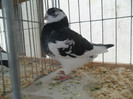 SAM_0730