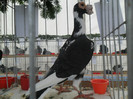 SAM_0734