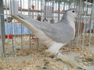 SAM_0735
