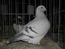 SAM_0744