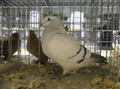 SAM_0746