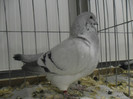 SAM_0749