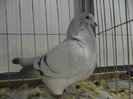 SAM_0750