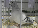 SAM_0752
