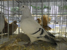 SAM_0757