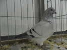 SAM_0759