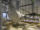 SAM_0761