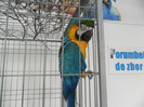 SAM_0763