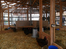 SAM_0789
