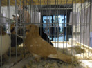 SAM_0811