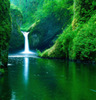 Nature_02