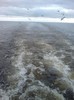DSC00787