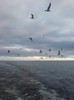 DSC00788