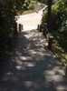 DSC00803