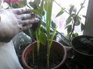 P28-11-11_09.36[1]