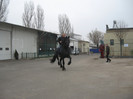 Galati noiembrie 2011