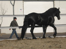 Galati noiembrie 2011