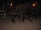Galati noiembrie 2011