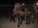 Galati noiembrie 2011