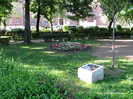 Parcul Operei Ziua Recunostintei